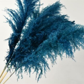 Pampas Grass turquoise