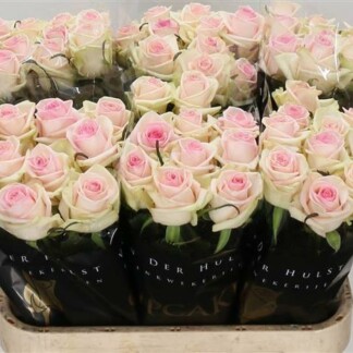 Rose Cupcake